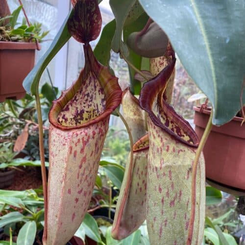 LM3HtOTzJNXshg9aXlOy.jpg LM3HtOTzJNXshg9aXlOy.jpg