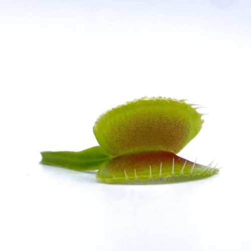 LTsRZXVjuJr9RgpgQ7gd-1.jpg