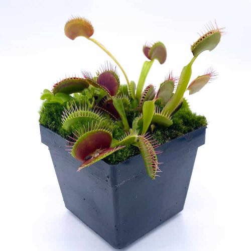 La4EhdX6gNZHlxUfbxMP.jpg La4EhdX6gNZHlxUfbxMP.jpg