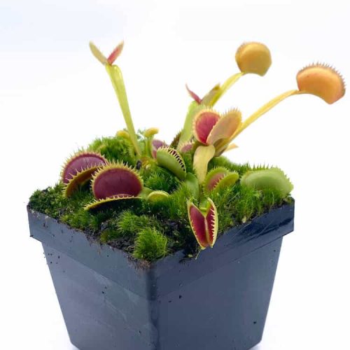 LdC0YFECLKJEb07cvEfb.jpg LdC0YFECLKJEb07cvEfb.jpg