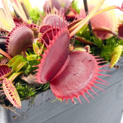 LfaLJptIpBq4EuJoc7Wa.jpg LfaLJptIpBq4EuJoc7Wa.jpg