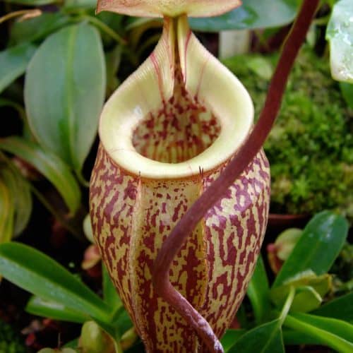 Ly80LTSiMjjlMGZcSAWd.jpg Ly80LTSiMjjlMGZcSAWd.jpg