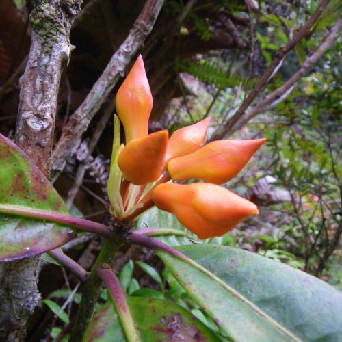 M4K7hjPEfbZOZULvtJx5.jpg M4K7hjPEfbZOZULvtJx5.jpg