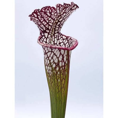 M9hSOyh2Gpd1tl9EuuEp.jpg M9hSOyh2Gpd1tl9EuuEp.jpg