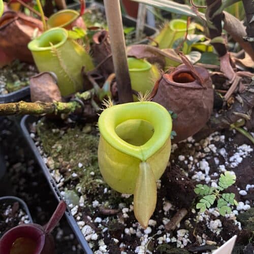 ML3C9jwmoyIpDiVoOE5m.jpg ML3C9jwmoyIpDiVoOE5m.jpg