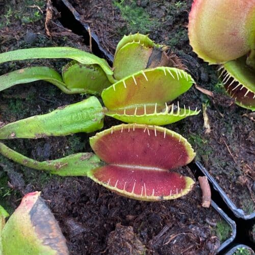 MzaUwyLuUeSxB5wapZpJ.jpg MzaUwyLuUeSxB5wapZpJ.jpg