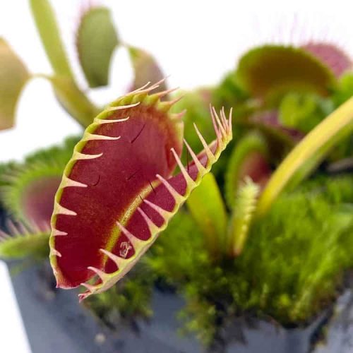 N4lzsMhrRzOfV044dQ0B.jpg N4lzsMhrRzOfV044dQ0B.jpg