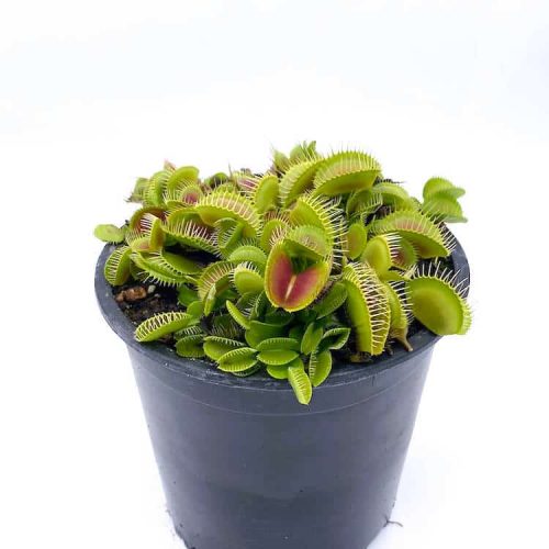 N853FhovS7LhTpp7BdA6.jpg N853FhovS7LhTpp7BdA6.jpg