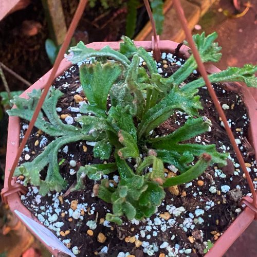 N9JcbUuxiOXL60MP0s3Z.jpg N9JcbUuxiOXL60MP0s3Z.jpg