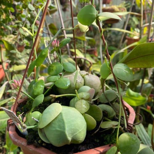 NcwI8YGvk9WUi4qn0Oo8.jpg NcwI8YGvk9WUi4qn0Oo8.jpg