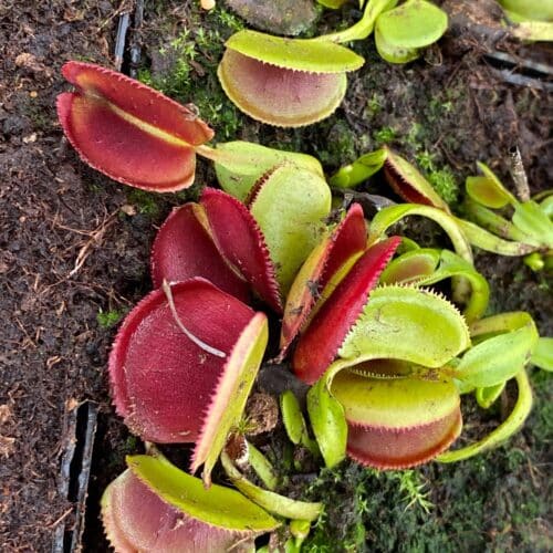 NdFQT2guneBgi8L1CDF1.jpg NdFQT2guneBgi8L1CDF1.jpg