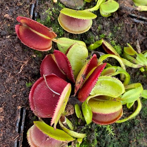 NdFQT2guneBgi8L1CDF1.jpg NdFQT2guneBgi8L1CDF1.jpg