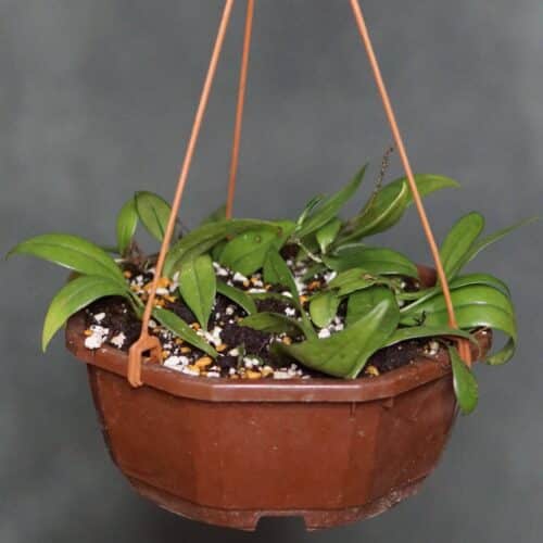 O3VGdMn9AiZCKGWXbPi1.jpg O3VGdMn9AiZCKGWXbPi1.jpg