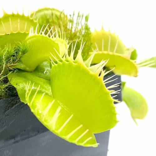 O8Lxav0ynDLAqMnHT37Q.jpg O8Lxav0ynDLAqMnHT37Q.jpg