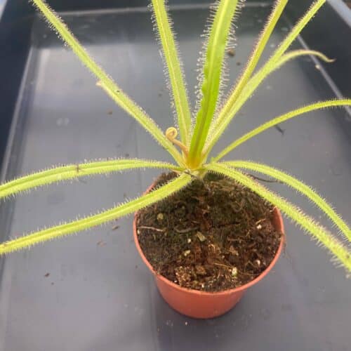 O9Dgo6maJWFLuvtx8MNR.jpg O9Dgo6maJWFLuvtx8MNR.jpg