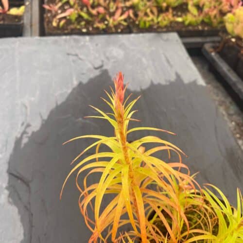 OBY6yLT2rhRwJ2Xz3nXh.jpg OBY6yLT2rhRwJ2Xz3nXh.jpg