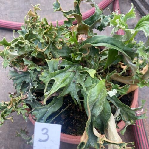 ONYiwUTFtZYxBAEByEY0.jpg ONYiwUTFtZYxBAEByEY0.jpg