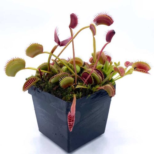 OP66pq6kEU22UVuoFhgu.jpg OP66pq6kEU22UVuoFhgu.jpg