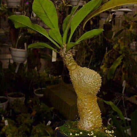 OQWjd9rxhgEFHN9KDNjx.jpg OQWjd9rxhgEFHN9KDNjx.jpg