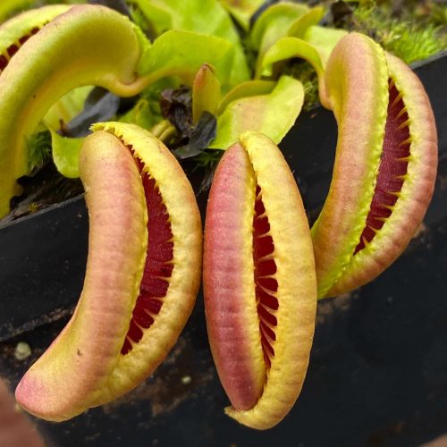 OW5MTzbsgqUDfWjSyWGh.jpg OW5MTzbsgqUDfWjSyWGh.jpg