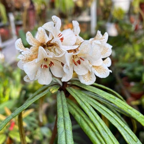 OYEFktiRXt5V7htgwI4C.jpg OYEFktiRXt5V7htgwI4C.jpg