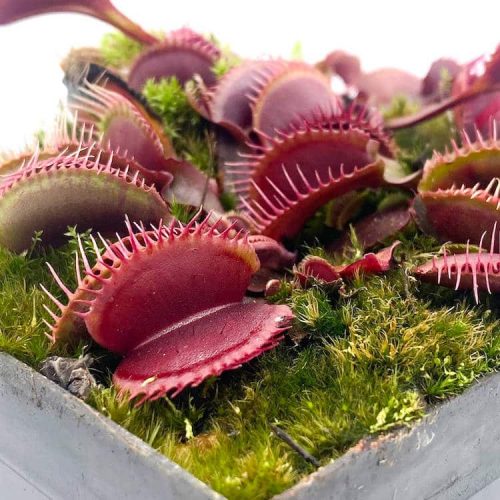 OaP1d8uDJJWn8oLkALT3.jpg OaP1d8uDJJWn8oLkALT3.jpg