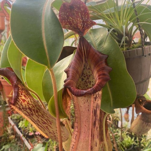 Of4DY3qjcCZnorKIaQY6.jpg Of4DY3qjcCZnorKIaQY6.jpg