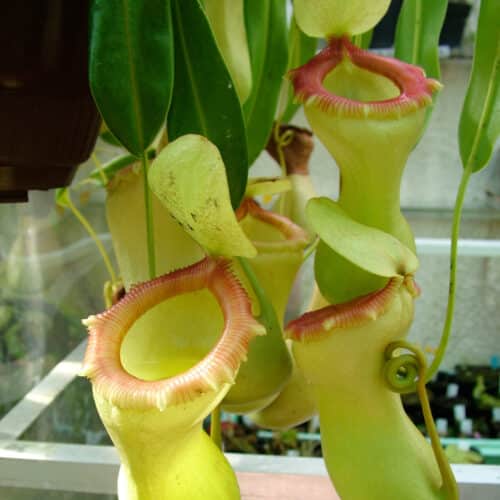 On1ECvehNeovy68oKbCp.jpg On1ECvehNeovy68oKbCp.jpg