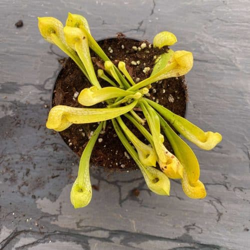 PBn1YiB5y9yOlfvDYOZi.jpg PBn1YiB5y9yOlfvDYOZi.jpg