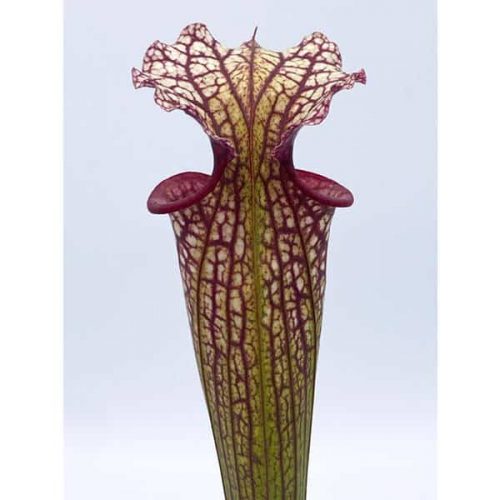 PCOO6Dt1UrHLj3s3iHRU.jpg PCOO6Dt1UrHLj3s3iHRU.jpg