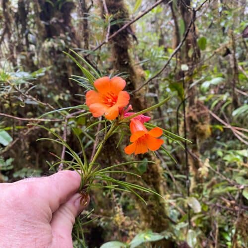 PQurmJBX8JMBMQH8FbjF.jpg PQurmJBX8JMBMQH8FbjF.jpg