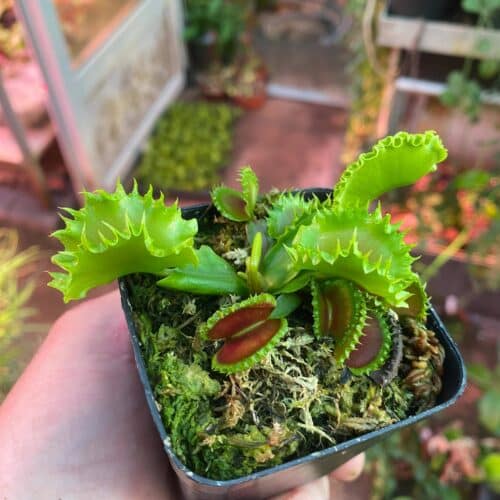 PUyenNIQlwmKWXmxjOL9.jpg PUyenNIQlwmKWXmxjOL9.jpg