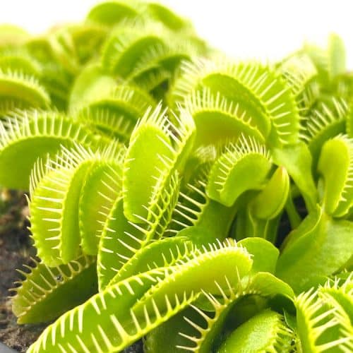 PYUPibjpiIGxSw6Azv6Z.jpg PYUPibjpiIGxSw6Azv6Z.jpg