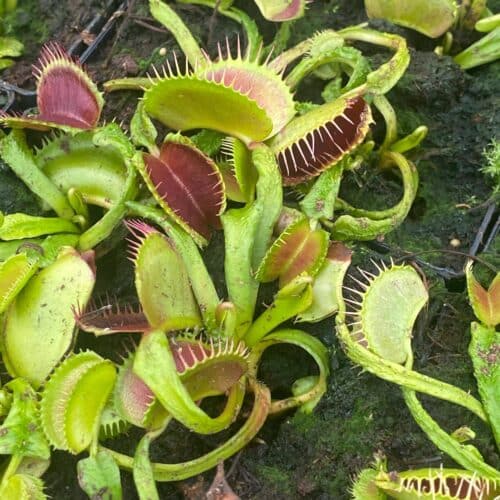 PbRP4FilNGqBB9FoSPUN.jpg PbRP4FilNGqBB9FoSPUN.jpg