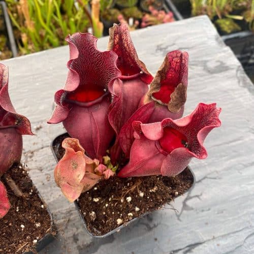 PbcQWtzBqtIQ496yjQji.jpg PbcQWtzBqtIQ496yjQji.jpg