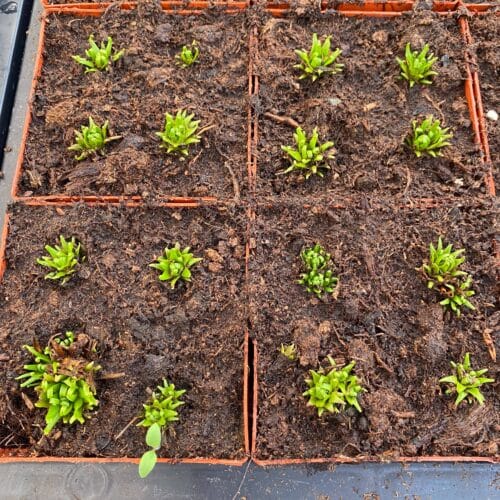 PfeUfwF0K7oVx2rLiea5.jpg PfeUfwF0K7oVx2rLiea5.jpg