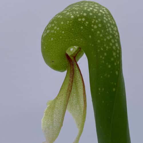 PlSlkaIdFEAQyMaZsLGH.jpg PlSlkaIdFEAQyMaZsLGH.jpg