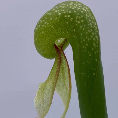 PlSlkaIdFEAQyMaZsLGH.jpg PlSlkaIdFEAQyMaZsLGH.jpg