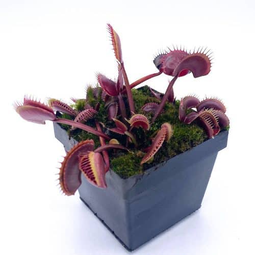 Py41OuxwosTiQ6PMDc5h-1.jpg Py41OuxwosTiQ6PMDc5h-1.jpg