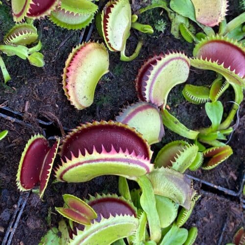 Q5KpaVStaBWh1gF6P4AD.jpg Q5KpaVStaBWh1gF6P4AD.jpg