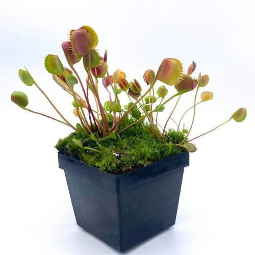 Q6AqkKKMsicCm2Lujtwr.jpg Q6AqkKKMsicCm2Lujtwr.jpg