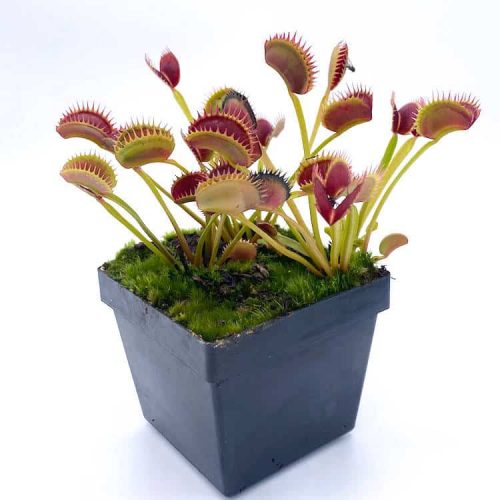 QAkzTwU8ou9ZDHIYgMVX.jpg QAkzTwU8ou9ZDHIYgMVX.jpg