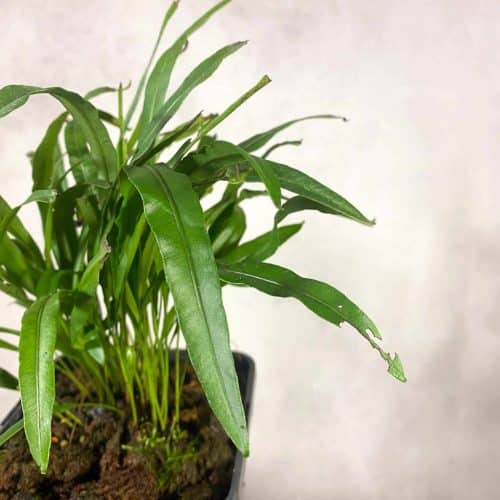 QBhOM5csnvBxWtMxQfGm.jpg QBhOM5csnvBxWtMxQfGm.jpg