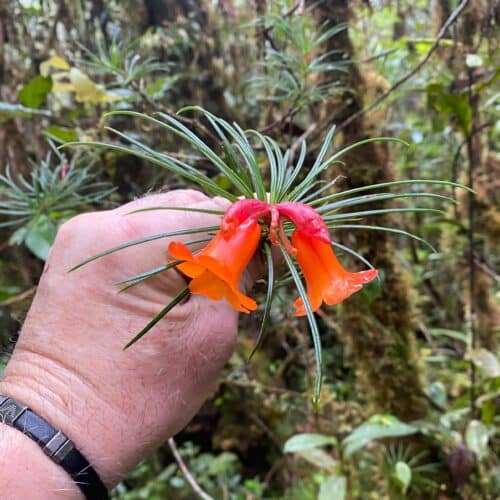 QJQbxPggyPzDkTsVexrA.jpg QJQbxPggyPzDkTsVexrA.jpg