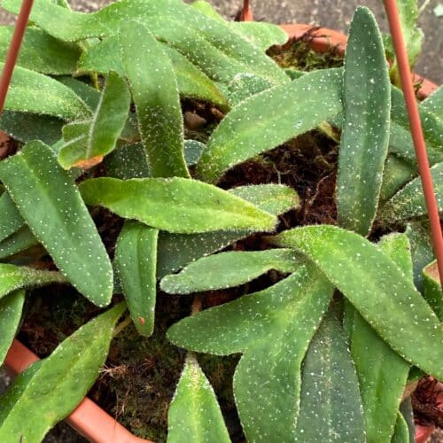 QSQtcJVv4LOUe2qFy8IJ.jpg QSQtcJVv4LOUe2qFy8IJ.jpg