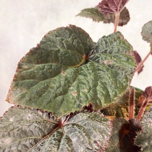 QTAhyJTtS1TPn0oS9SkT.jpg QTAhyJTtS1TPn0oS9SkT.jpg