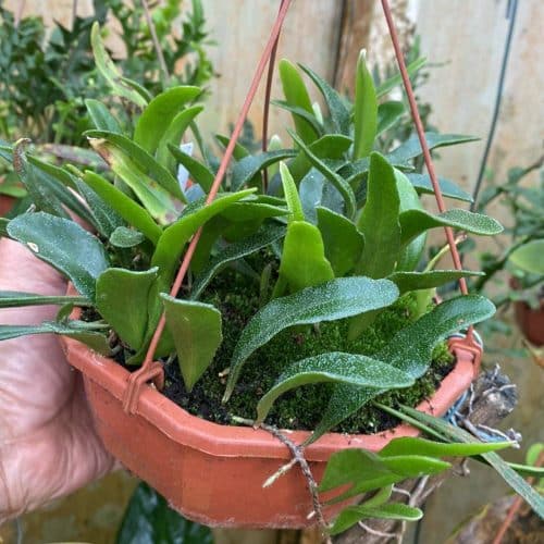 Qc8CX2ZB4xpYYvwFevwy.jpg Qc8CX2ZB4xpYYvwFevwy.jpg