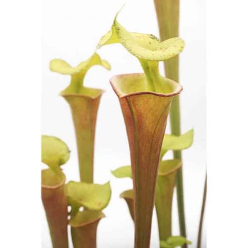 QfNQvQ1EksqWDSDHdFK1.jpg QfNQvQ1EksqWDSDHdFK1.jpg