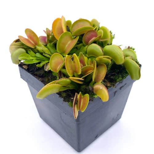 Qg8wJcPiMe5OsJUY87Aq.jpg Qg8wJcPiMe5OsJUY87Aq.jpg