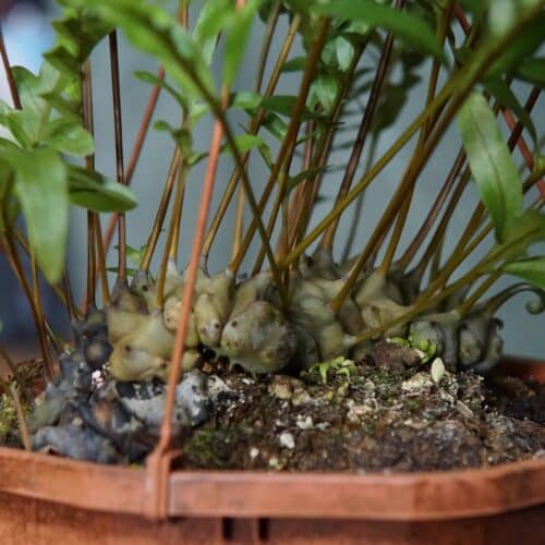 QyowYe0e90CL4UsfJPLc.jpg QyowYe0e90CL4UsfJPLc.jpg